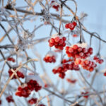 В Україну йде похолодання – коли вдарить -7°С